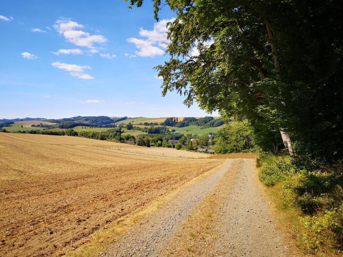 Ferienhaus Lena Im Sauerland Direkt Am Hennesee Meschede Esterno foto